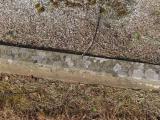 image of grave number 794962
